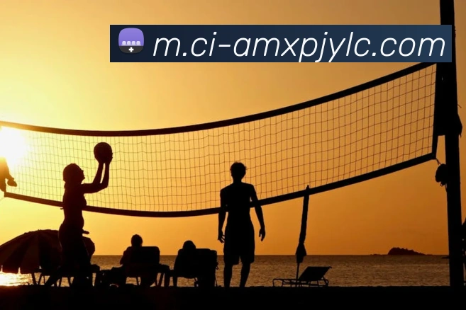 新葡京娱乐平台生态图